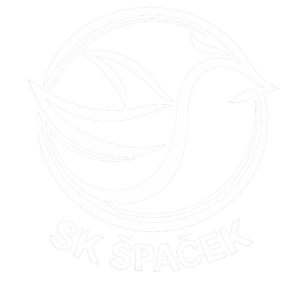 SK Spacek logo